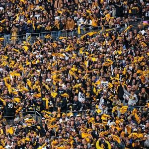 Meet your Posher, Ben